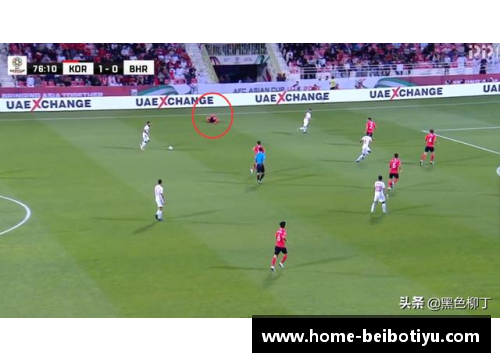 疯狂球员：挑战体育界常规的边缘行为