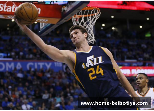 NBA英文字幕的深度解析与应用指南